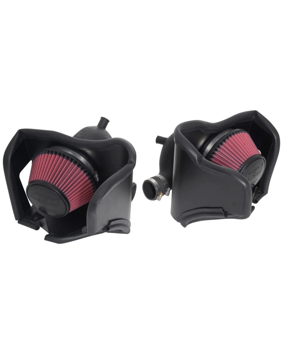 Cold Air Intake System AIP21-849DS