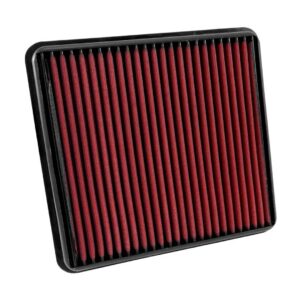 DryFlow Air Filter AIP28-20387