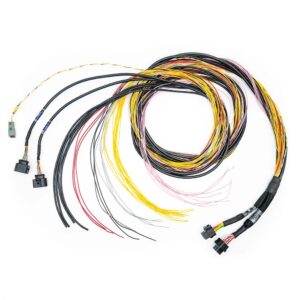 FT700 C&D Harness 10ft FTH2001008771
