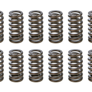 1.025 Valve Springs - Ovate Beehive (16) PACPAC-1233-16