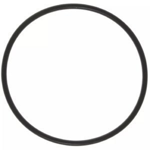 Thermostat Seal 97-03 GM 4.8 5.3 5.7 6.0 M7772141
