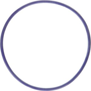 Water Pump Gasket 11-24 Ford 5.0L M77K31309