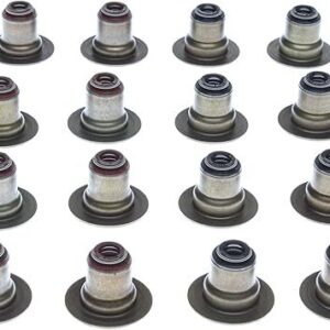 Valve Stem Oil Seal Set 14-22 Chevy 5.3L 6.2L M77SS46078