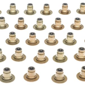 Valve Stem Oil Seal Set 18-24 Ford 5.0L M77SS46149