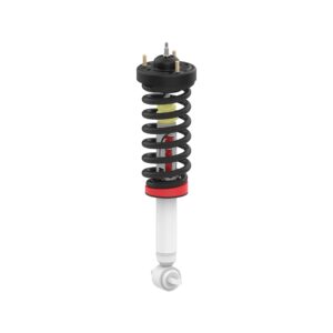 Quick Lift Loaded Strut RANRS999957