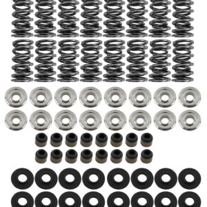 Platinum Dual Spring LS Kit Steel Retainer BTRSK001/S/0560/BB