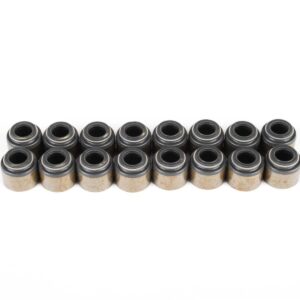 LS Valve Seal Kit BTRVSLSKIT
