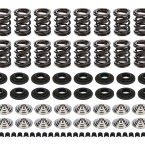 Endurance Dual Spring Kit Honda/Acura1.6/1.8 FERKT4001