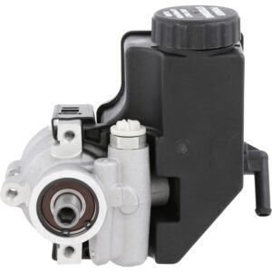 Power Steering Pump Aluminum - Natural UNI8060300