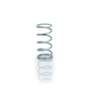Spring 6in Coil-Over 3.0in ID Silver EIB0600.300.0400S