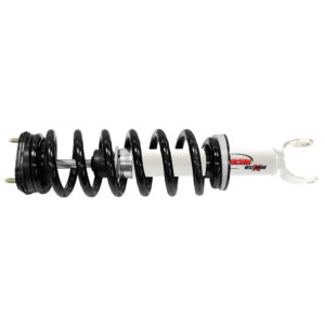 Suspension Strut and Coil Spring RANRS551847