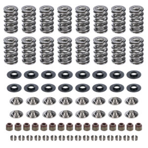 GM LS Dual Valve Spring Kit .660 Dia. CAMVSK143803