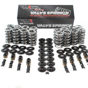 Platinum LS Dual Springs .660in Lift BTRSK001/S/0545/BB