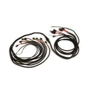 PRO550/600 Ford V8 Smart Coil Harness Complete FTH2002110980