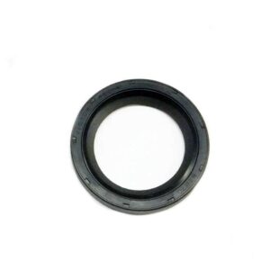 Timing Cvr Damper Seal LS BTRBTR85673