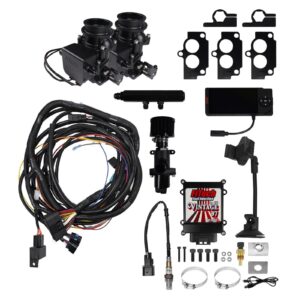 Vintage 97 EFI 2x2BBL 3 Bolt Throttle Body Blk FIT34102