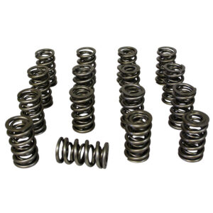 1.465 Dual Valve Spring Set 16pk HRC98438
