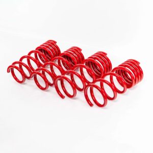 Spring Kit  Sport Honda Fit  09-14 SWI4H021