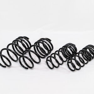 Spring Kit Spec-R Ford Fiesta ST 14-19 SWI4X910R